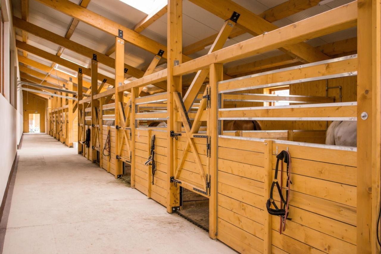 Astoria Horse Center Aparthotel Gheorgheni  ภายนอก รูปภาพ